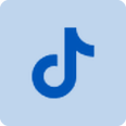 TikTok Icon